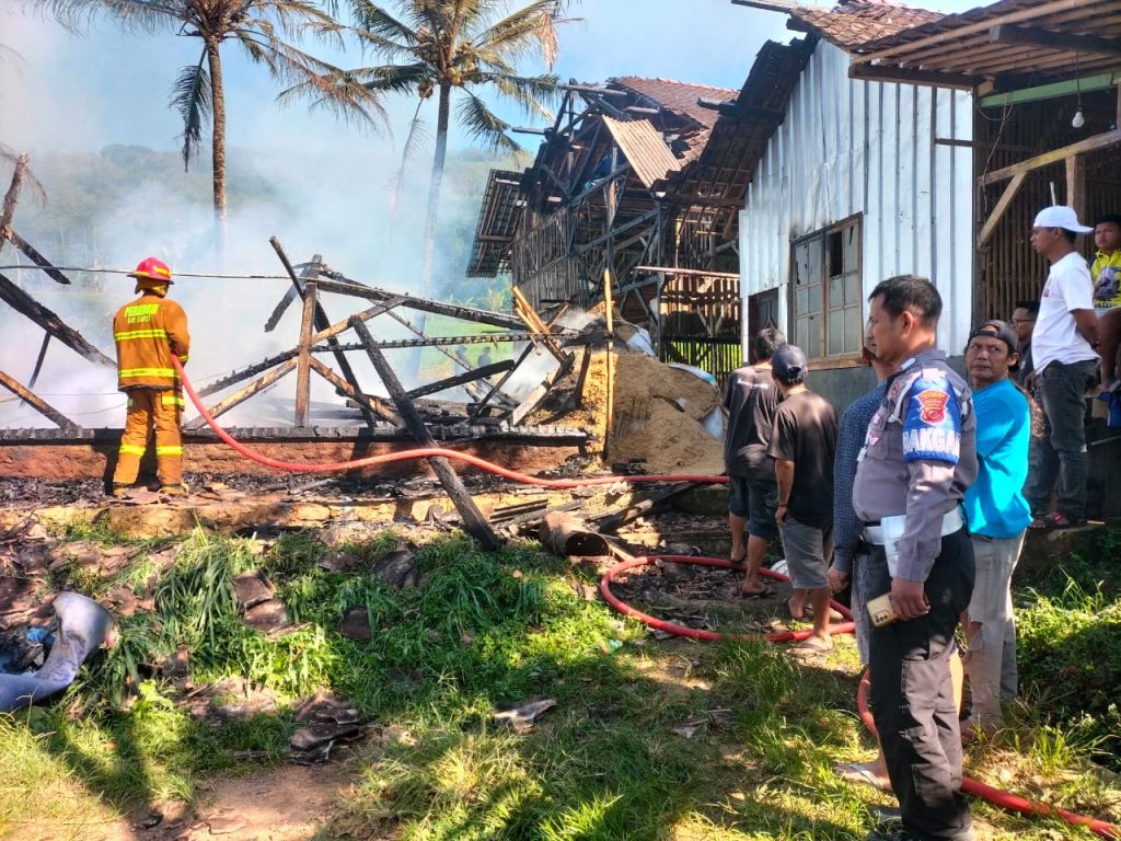 Kebakaran Kandang Ayam 2.jpg